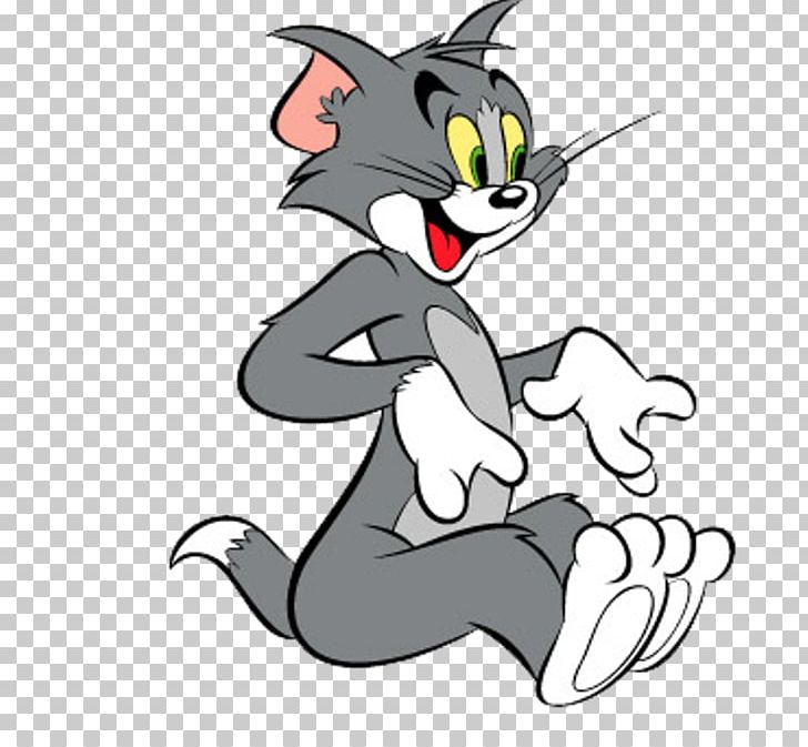 Tom Cat Tom And Jerry Jerry Mouse Cartoon Network PNG, Clipart, Animation, Artwork, Beak, Carnivoran, Cartoon Free PNG Download