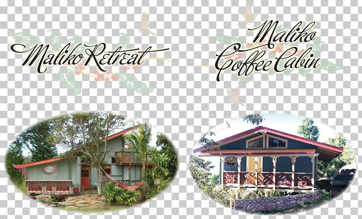 House Window Wall Maui Cottage PNG, Clipart, Brand, Bustle, Coffee, Cottage, For Rent Free PNG Download