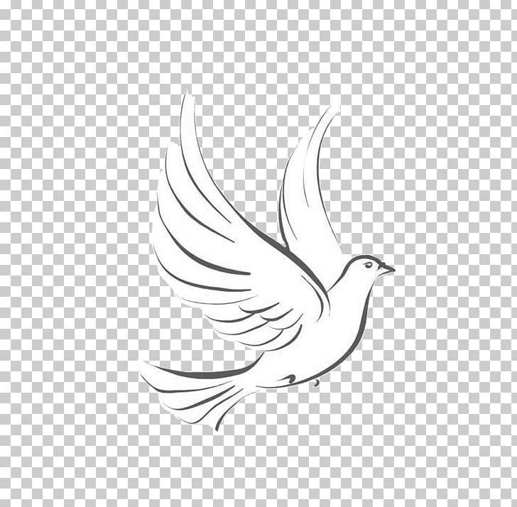 Line Art Pigeons And Doves Drawing Japari School Graphics PNG, Clipart, 2018, Art, Artwork, Beak, Bird Free PNG Download