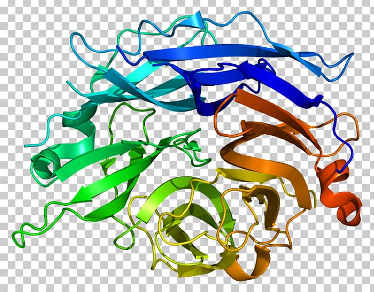 NEU2 Neuraminidase Protein Sialic Acid Gene PNG, Clipart, Area, Art, Artwork, Chromosome, Enzyme Free PNG Download