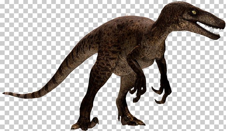 Velociraptor Tyrannosaurus Utahraptor Spinosaurus Dilophosaurus PNG, Clipart, Animal Figure, Dinosaur, Extinction, Fauna, Giganotosaurus Free PNG Download