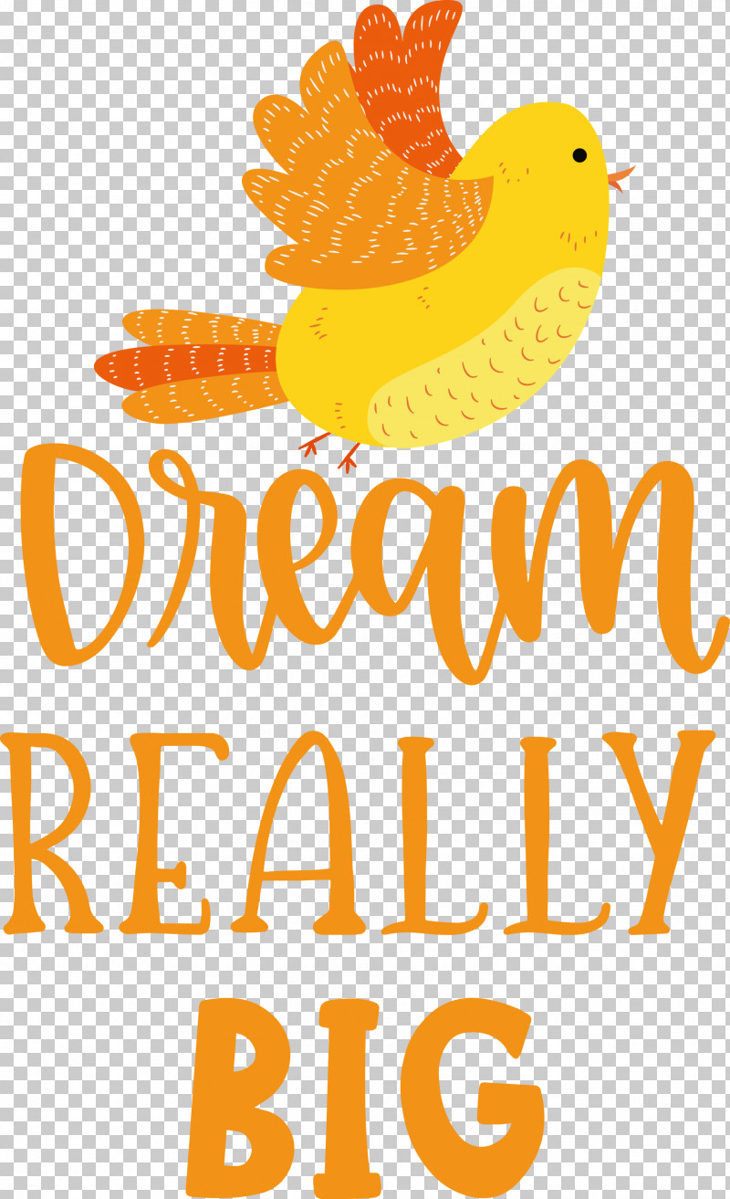 Dream Really Big Dream Dream Catcher PNG, Clipart, Beak, Commodity, Dream, Dream Catcher, Flower Free PNG Download
