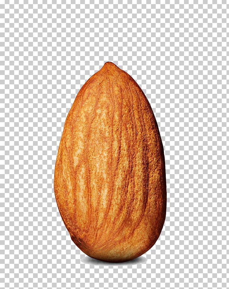 Almond Single PNG, Clipart, Almond, Food, Nuts Free PNG Download