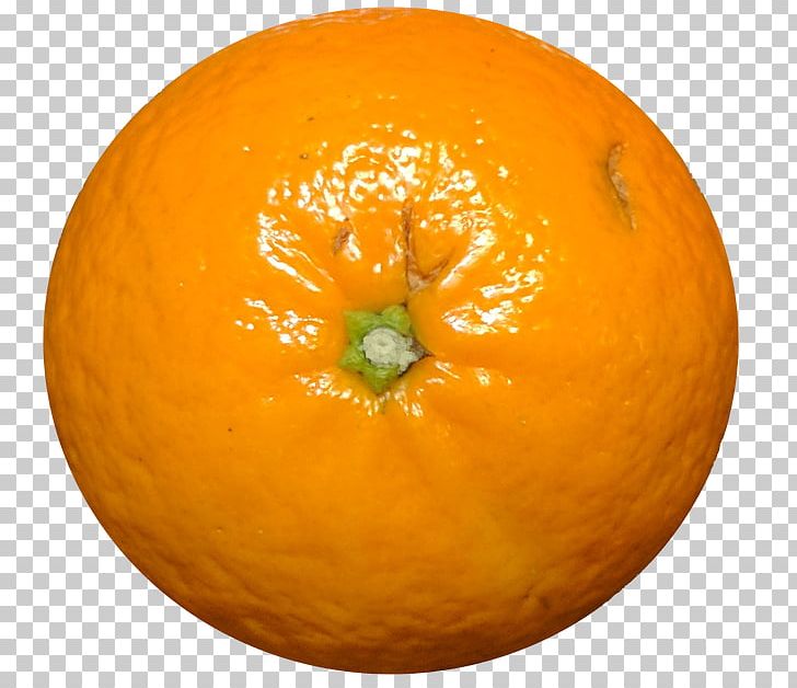 Clementine Tangerine Mandarin Orange Tangelo PNG, Clipart, Calabaza, Cartography, Citric Acid, Citron, Citrus Free PNG Download