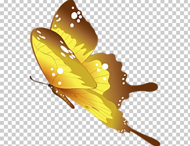 Butterfly Motif PNG, Clipart, Adobe Illustrator, Arthropod, Artworks, Beauty, Beauty Salon Free PNG Download