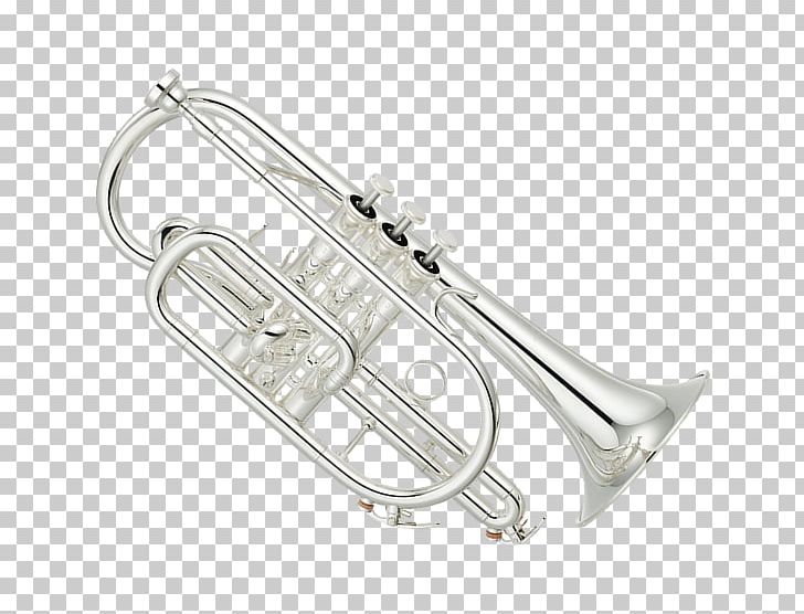 Cornet Wind Instrument Trumpet Saxophone Euphonium PNG, Clipart, Alto Horn, Brass Instrument, Brass Instruments, Clarinet, Cornet Free PNG Download