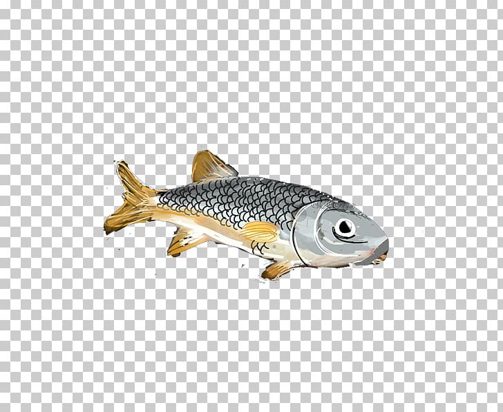 Trout Carp Fish PNG, Clipart, Bony Fish, Carp, Fish, Javali, Miscellaneous Free PNG Download