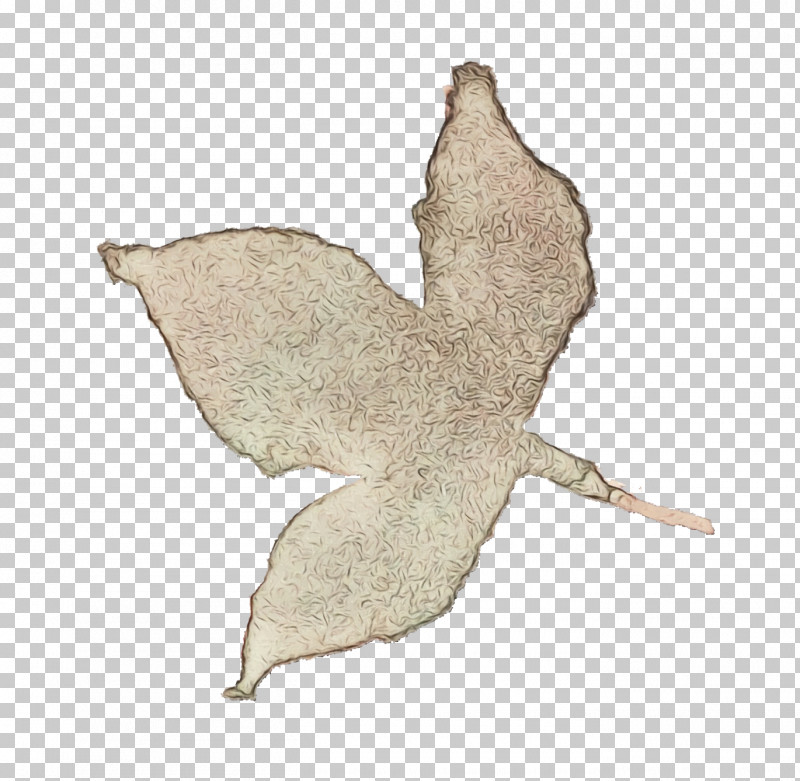 Plane PNG, Clipart, Drawing, Flower, Leaf, Paint, Plane Free PNG Download