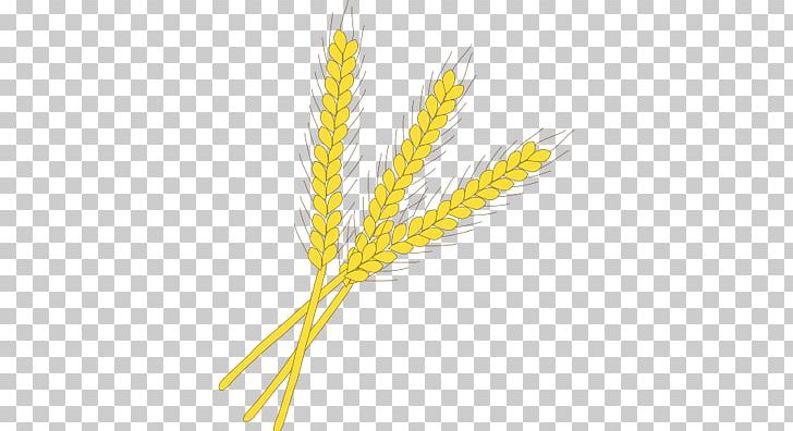 Emmer Einkorn Wheat Rye Symbol Cereal Germ PNG, Clipart, Agriculture, Cereal, Cereal Germ, Cizimler, Commodity Free PNG Download