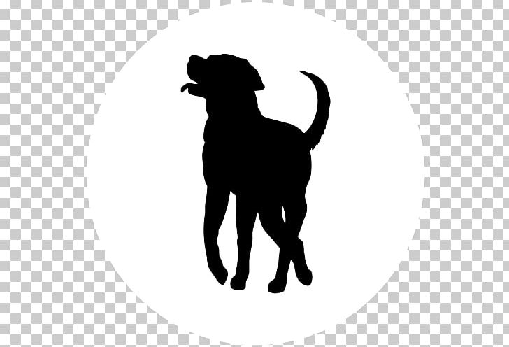 Labrador Retriever Puppy Dog Breed Golden Retriever Pembroke Welsh Corgi PNG, Clipart, Animals, Black, Black And White, Black Cat, Carnivoran Free PNG Download