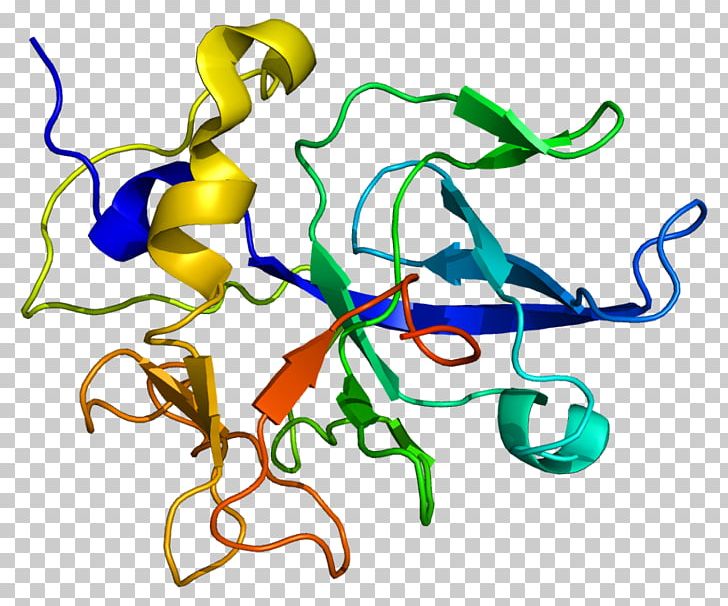 SCYE1 Wikipedia Protein Aminoacyl TRNA Synthetase Transfer RNA PNG, Clipart, Aimp, Aminoacyltrna, Aminoacyl Trna Synthetase, Area, Artwork Free PNG Download