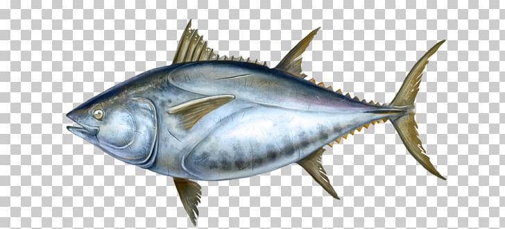 Thunnus Mackerel Swordfish Oily Fish International Trade PNG, Clipart, Ancient, Big, Biology, Bonito, Bony Fish Free PNG Download