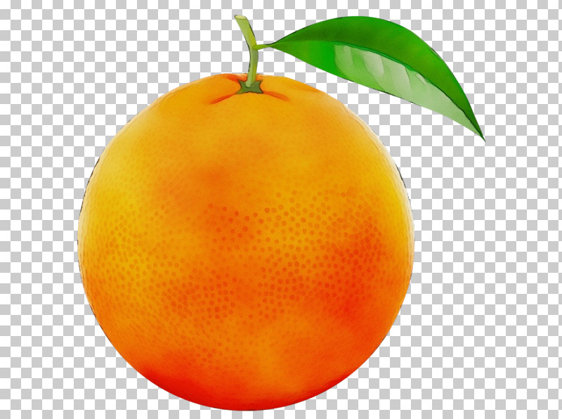 Orange PNG, Clipart, Acid, Bitter Orange, Blood Orange, Citric Acid, Citrus Fruit Free PNG Download