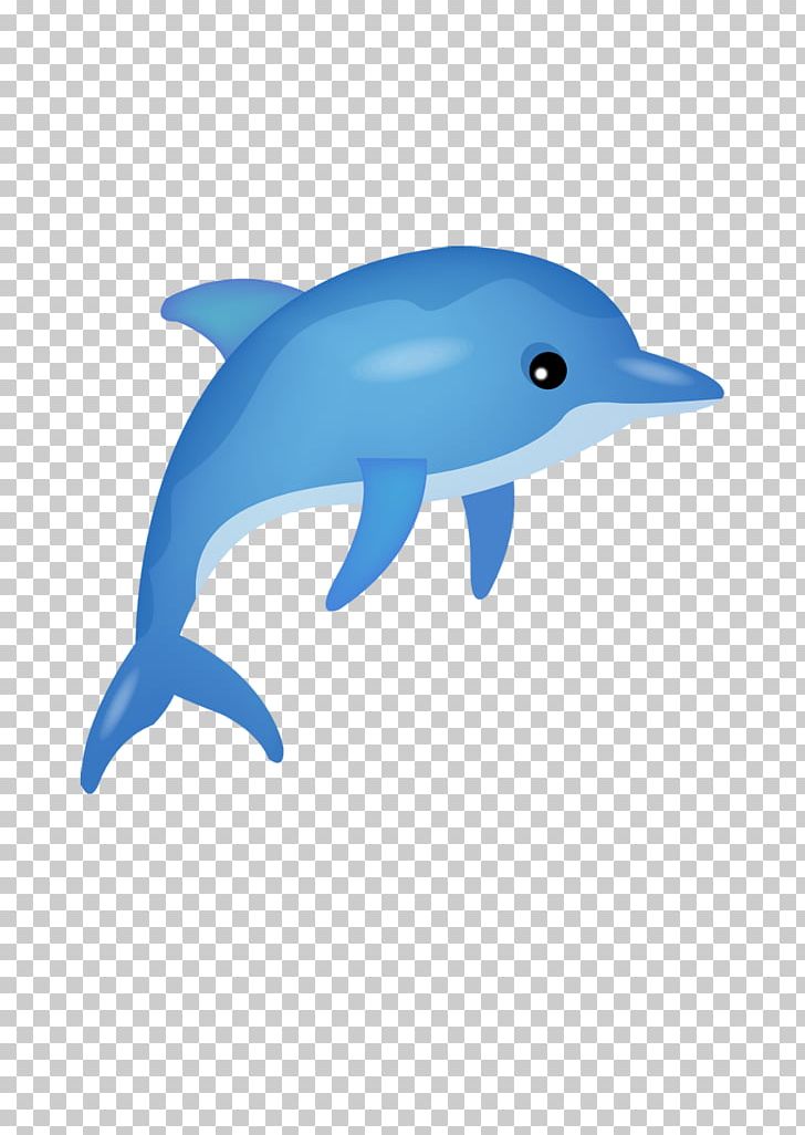 Dolphin Cartoon Poster PNG, Clipart, Animals, Balloon Cartoon, Boy Cartoon, Cartoon Alien, Cartoon Character Free PNG Download