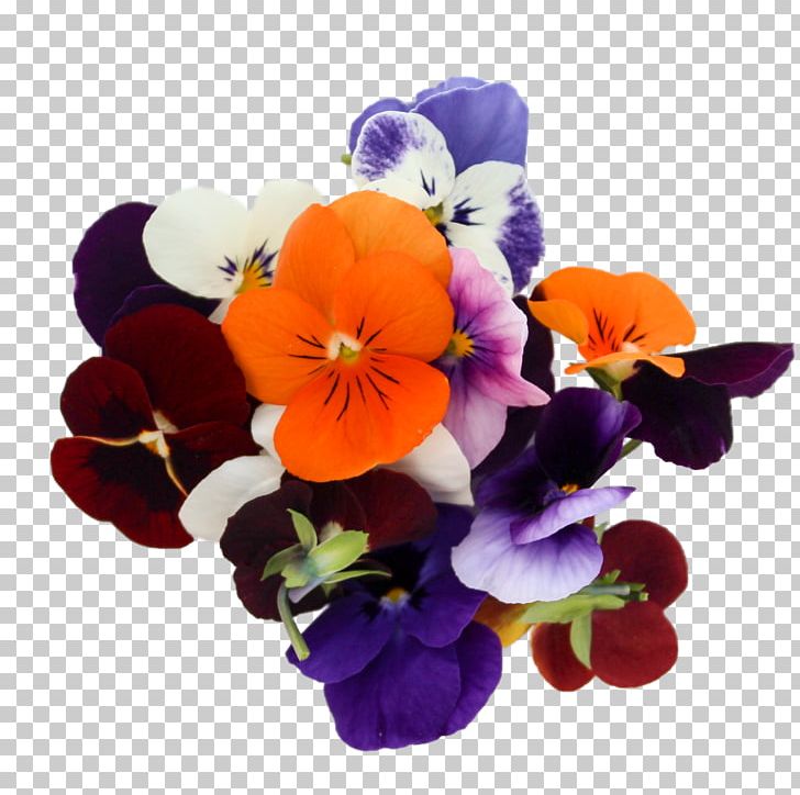 Pansy Floral Design Violet Cut Flowers Annual Plant PNG, Clipart, Annual Plant, Cut Flowers, Floral Design, Flower, Flowering Plant Free PNG Download