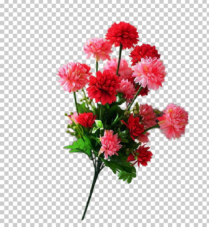 Shoeblackplant Cut Flowers Carnation Ornamental Plant PNG, Clipart, Annual Plant, Artificial Flower, Barberton Daisy, Carnation, Chrysanths Free PNG Download