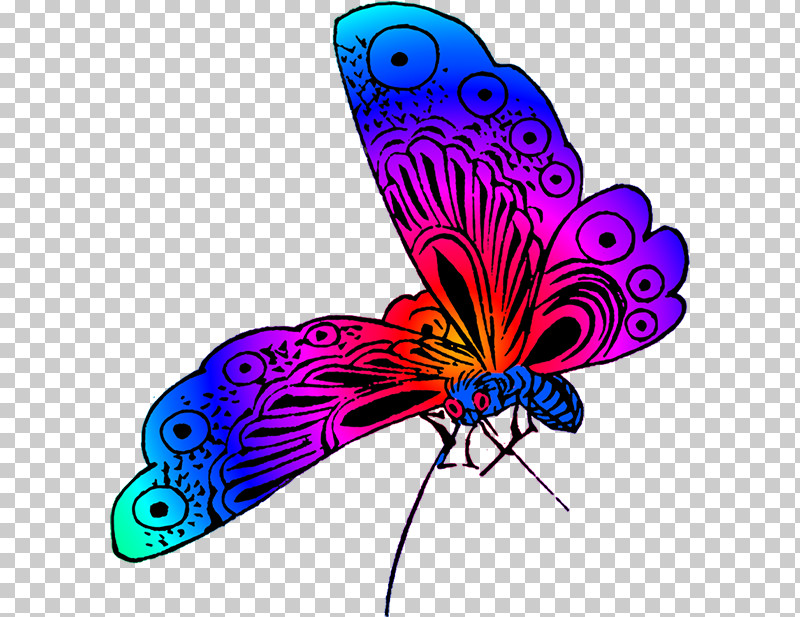 Feather PNG, Clipart, Butterfly, Electric Blue, Feather, Insect, Magenta Free PNG Download