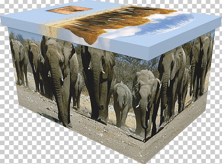Elephantidae PNG, Clipart, Casket, Elephant, Elephantidae, Elephants And Mammoths, Furniture Free PNG Download
