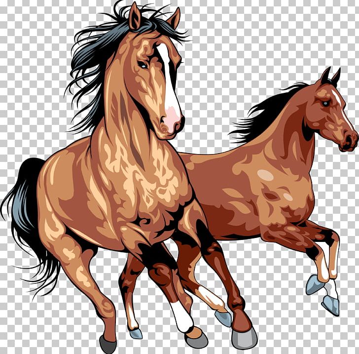 Horse PNG, Clipart, Animals, Bridle, Colt, Encapsulated Postscript, Equestrian Free PNG Download