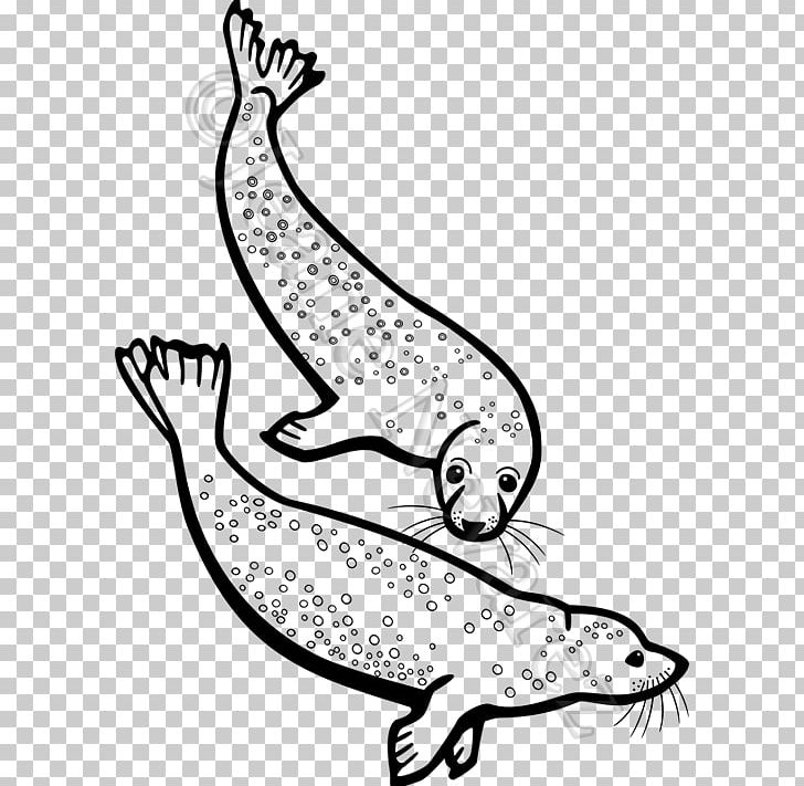 Pinniped Drawing PNG, Clipart, Artwork, Beak, Black, Black And White, Carnivoran Free PNG Download