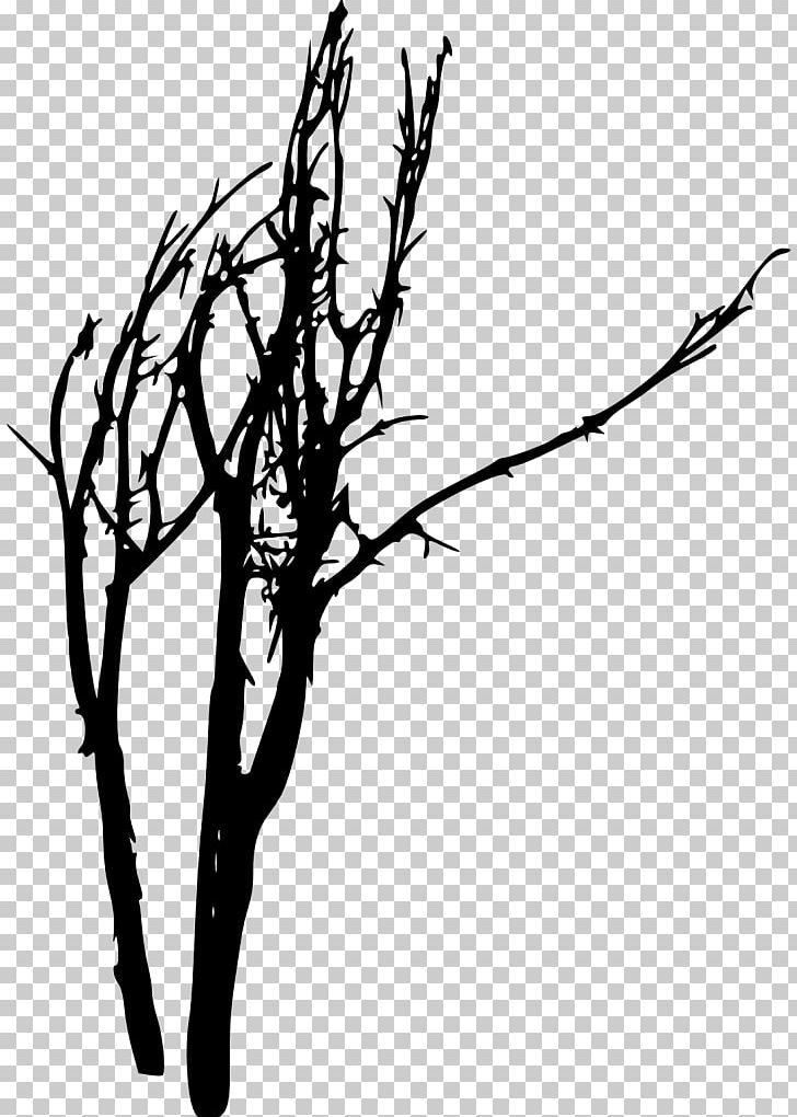 Twig Silhouette Black And White PNG, Clipart, Animals, Art, Bare, Black And White, Branch Free PNG Download