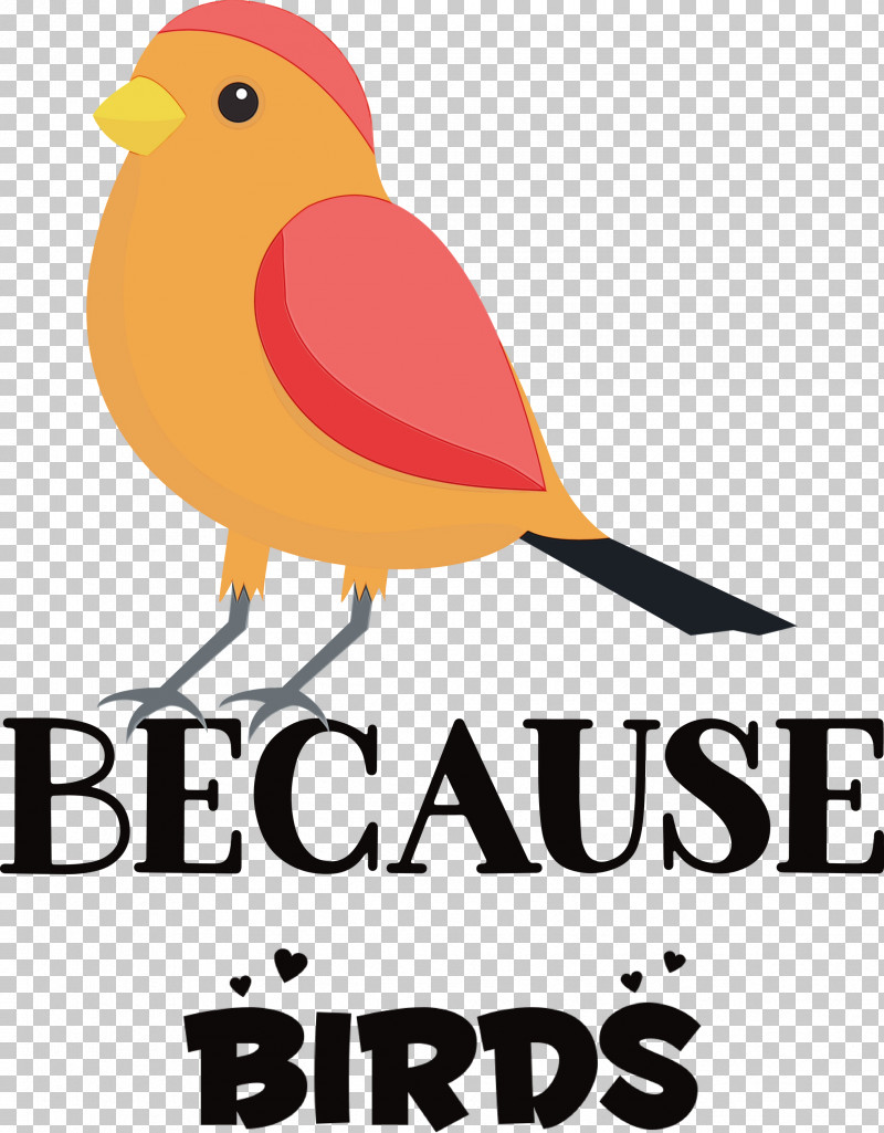 Birds Logo Meter Beak PNG, Clipart, Animal, Beak, Biology, Bird, Birds Free PNG Download