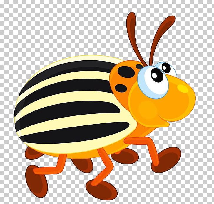 Colorado Potato Beetle Honey Bee PNG, Clipart, Animal, Animals, Bee, Beetle, Bug Free PNG Download