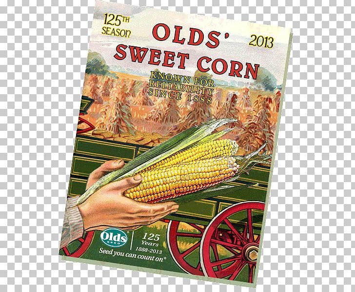 Corn On The Cob Maize Sweet Corn Seed Company PNG, Clipart, Advertising, Commodity, Corn, Corn Kernel, Corn On The Cob Free PNG Download