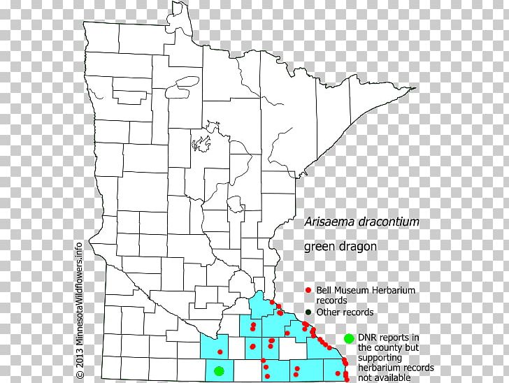 Ramsey County PNG, Clipart, Angle, Area, Arum Family, Big Stone County Minnesota, Diagram Free PNG Download