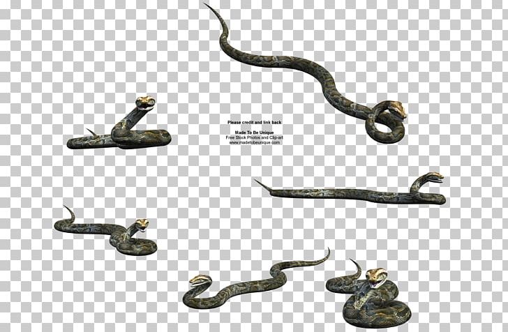 Reptile Rough Green Snake Smooth Green Snake Ball Python PNG, Clipart, Ball Python, Black Rat Snake, Cobra, Green Snakes, King Cobra Free PNG Download