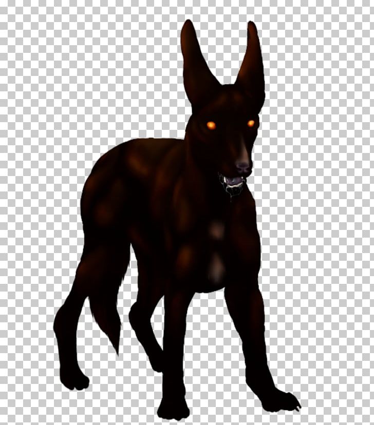 Dog Mammal Canidae Carnivora Pet PNG, Clipart, Animal, Animals, Big Bad Wolf, Canidae, Carnivora Free PNG Download