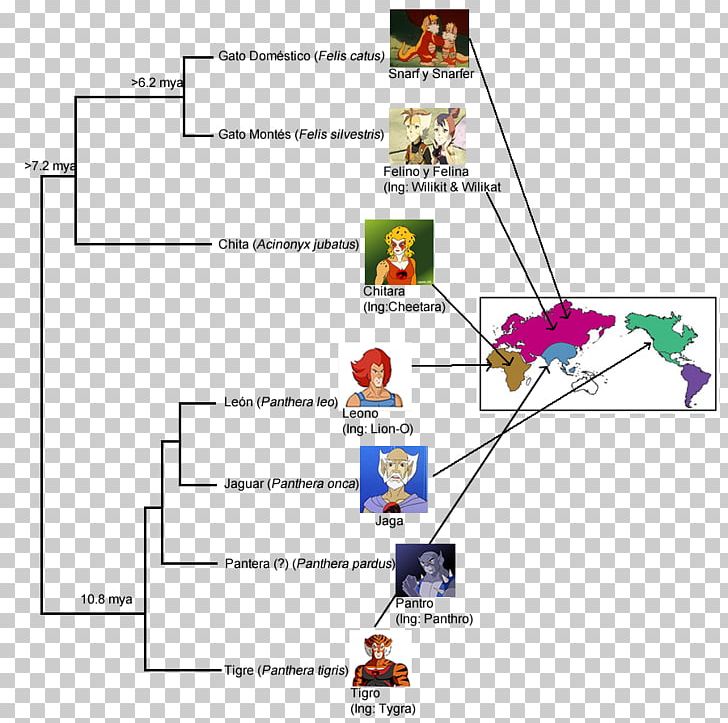 Panthro Character Name Phylogenetics Diagram PNG, Clipart, Adaptation, Angle, Area, Character, Diagram Free PNG Download