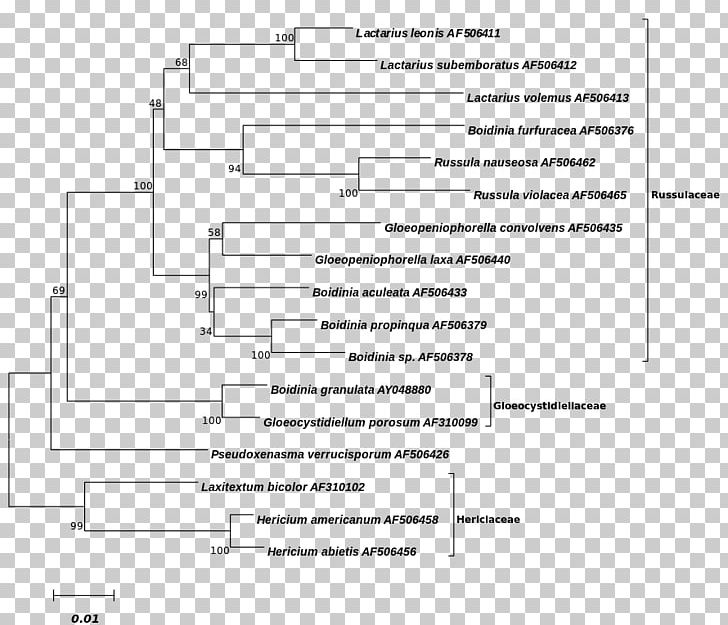 Phylogenetic Tree Basidiomycetes Russulaceae Laxå Library Document PNG, Clipart, Angle, Area, Basidiomycetes, Black And White, Carl Woese Free PNG Download