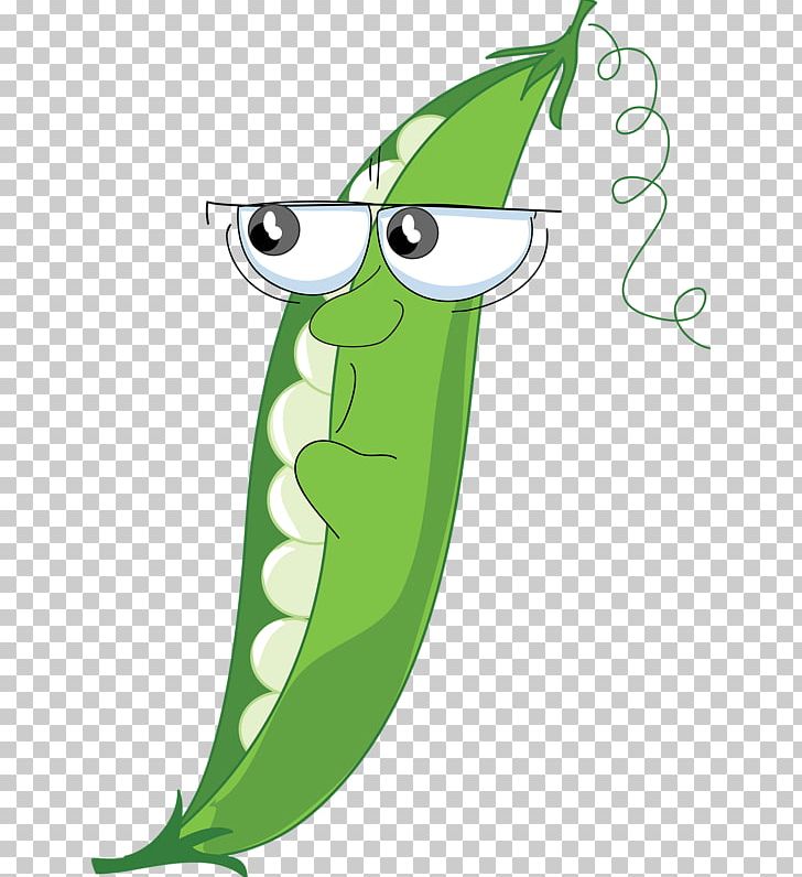 Snow Pea Vegetable PNG, Clipart, Area, Artwork, Bean, Beans, Cartoon Free PNG Download