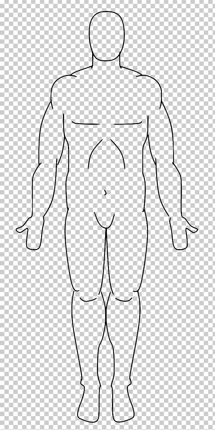 Standard Anatomical Position Human Anatomy Human Body Homo Sapiens PNG, Clipart, Anatomical Terminology, Anatomy, Angle, Area, Arm Free PNG Download