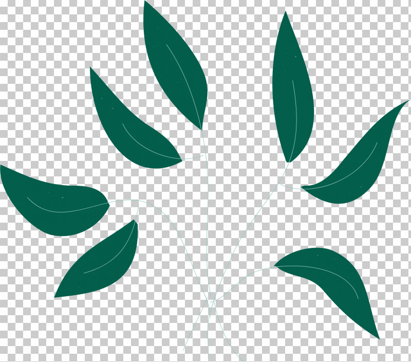 Leaf PNG, Clipart, Biology, Flower, Green, Leaf, Meter Free PNG Download