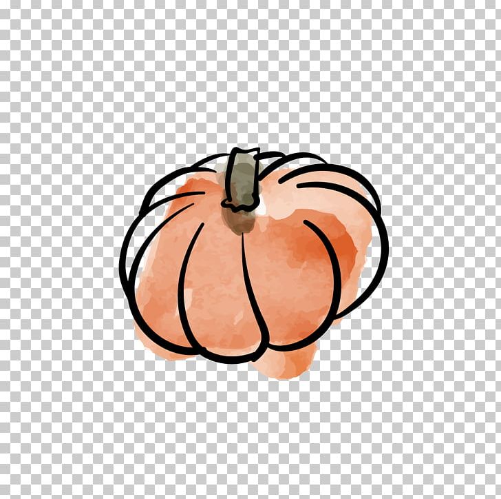 Calabaza Vegetable Watercolor Painting Illustration PNG, Clipart, Cooking, Fermentation, Food, Fruit, Gourd Free PNG Download