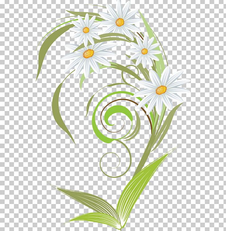 Chamomile PNG, Clipart, Camomile, Chamomile, Cut Flowers, Daisy, Desktop Wallpaper Free PNG Download