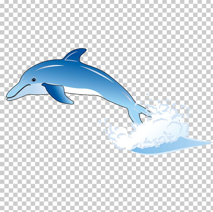 Common Bottlenose Dolphin Tucuxi Wholphin Short-beaked Common Dolphin PNG, Clipart, Adobe Illustrator, Animals, Blue, Cartoon, Cute Animal Free PNG Download