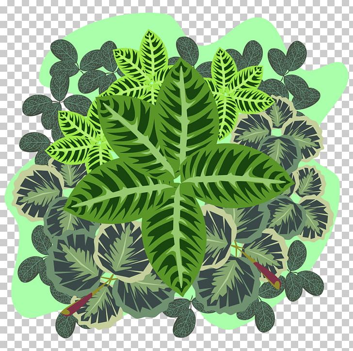 Plant Organism Leaf PNG, Clipart, Food Drinks, Four Leaf Clover, Green, Leaf, Organism Free PNG Download