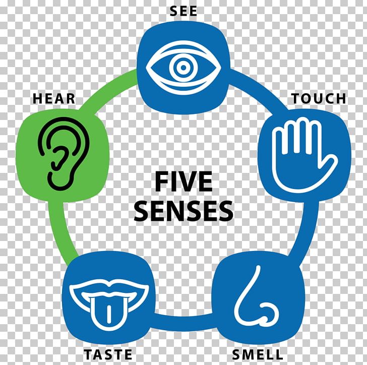 Sense Sensory Nervous System Education Sensory Receptor Sensation PNG, Clipart, Brain, Brand, Cerebrum, Circle, Color Free PNG Download