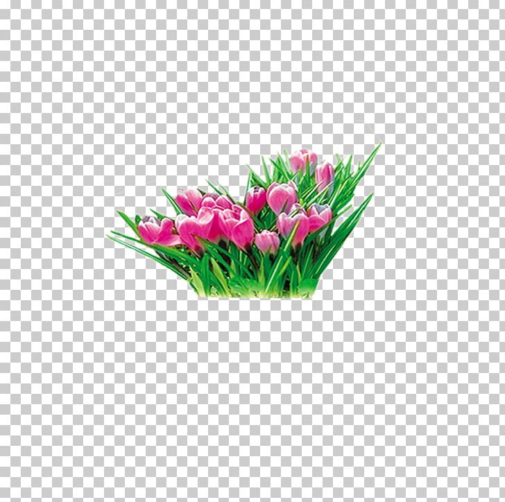 Floral Design Tulip Daffodil Flower Yellow PNG, Clipart, Aromatic, Cut Flowers, Daffodil, Designer, Floral Design Free PNG Download