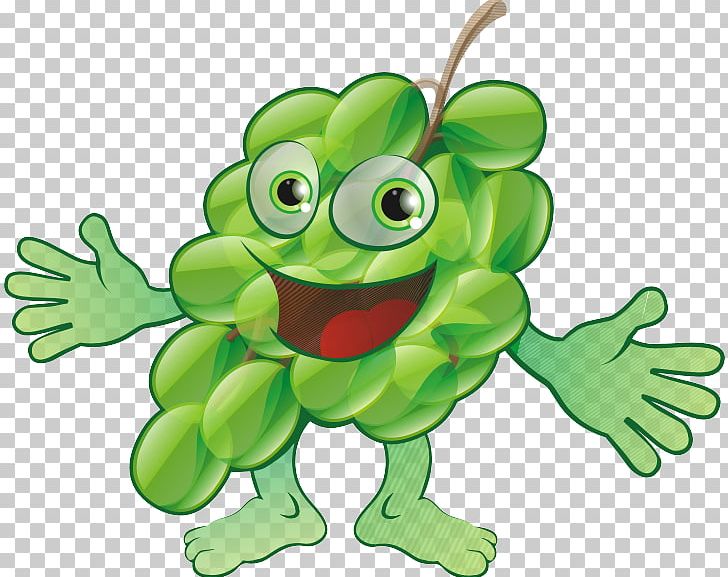 Fruit Grape Bitter Melon PNG, Clipart, Amphibian, Art, Auglis, Background Green, Berry Free PNG Download