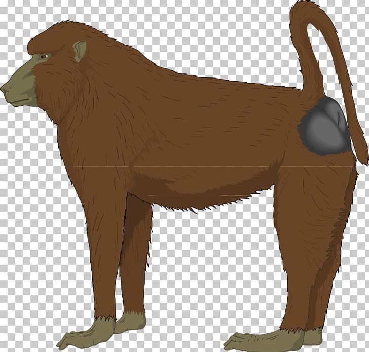 Mandrill Hamadryas Baboon PNG, Clipart, Baboon, Baboons, Big Cats, Carnivoran, Cat Like Mammal Free PNG Download