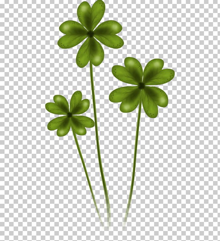 Saint Patrick's Day 17 March Shamrock PNG, Clipart, 2017, 2018, Animation, Collage, Flora Free PNG Download