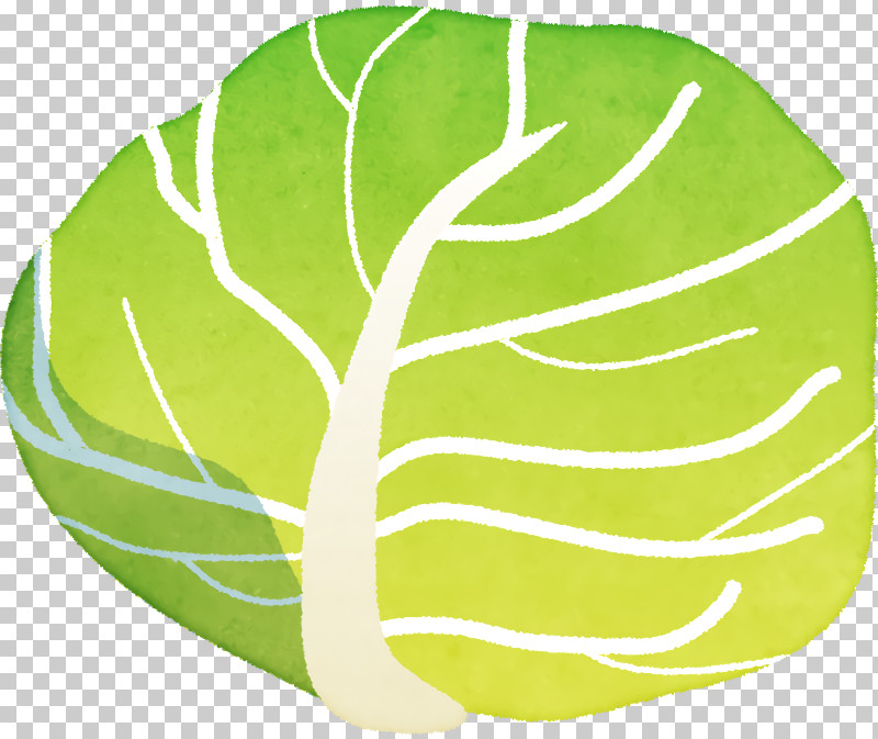 Leaf Vegetable Green Fruit Science PNG, Clipart, Biology, Fruit, Green, Leaf, Plants Free PNG Download