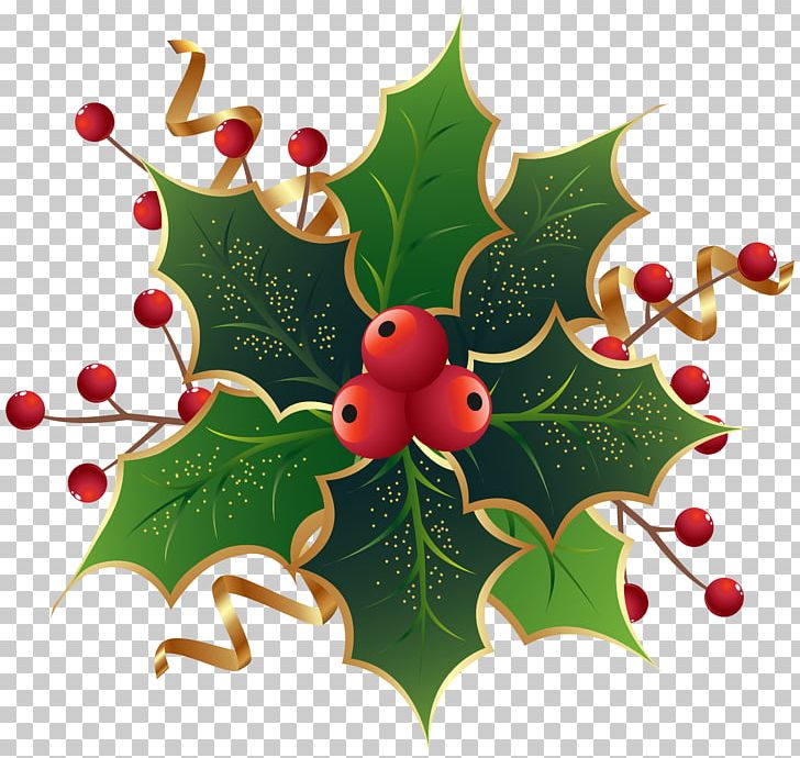 Common Holly Christmas Decoration PNG, Clipart, Aquifoliaceae, Aquifoliales, Bombka, Branch, Christmas Free PNG Download