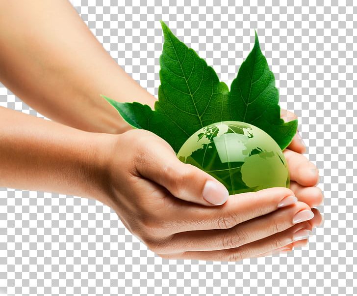 Environmental Resource Management Natural Environment Sustainable  Development Sustainability Organization PNG, Clipart, Alternative Medicine,  Background Green, Earth,