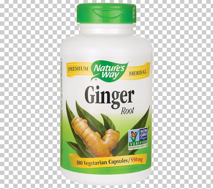 Ginger Dietary Supplement Food Herb Root PNG, Clipart, Capsule, Dietary Supplement, Fingerroot, Food, Ginger Free PNG Download