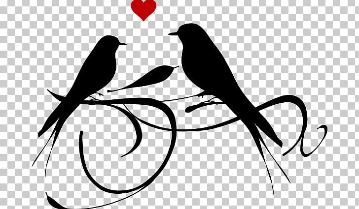 Lovebird PNG, Clipart, Beak, Bird, Birds, Birds Wedding Cliparts, Black And White Free PNG Download